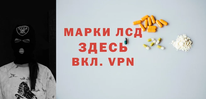 стаф Сатка