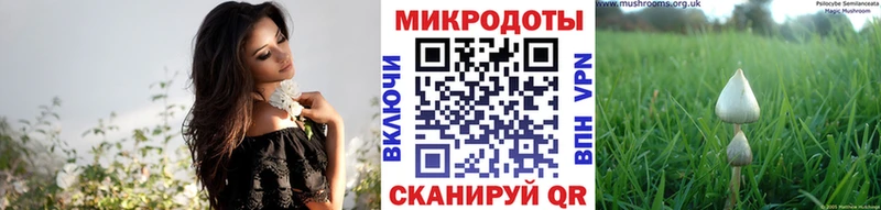 Псилоцибиновые грибы Psilocybine cubensis  hydra   Челябинск 
